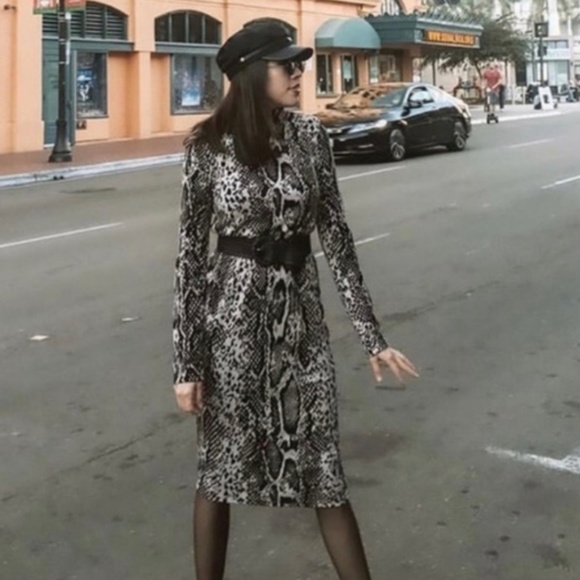 Zara Snakeskin Longsleeve Turtleneck Dress - Picture 3 of 5